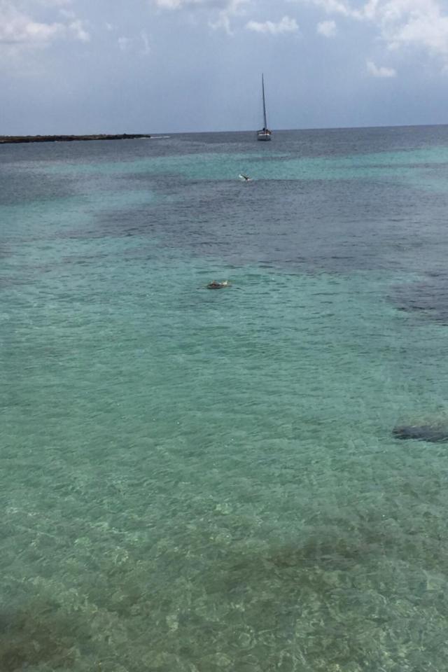 Villa 萨包迪亚 外观 照片