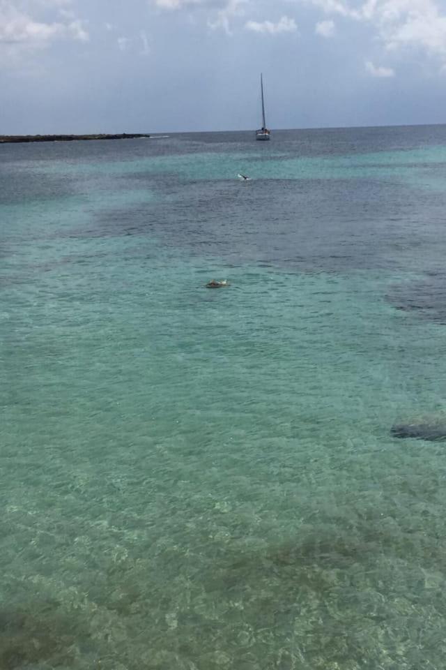 Villa 萨包迪亚 外观 照片